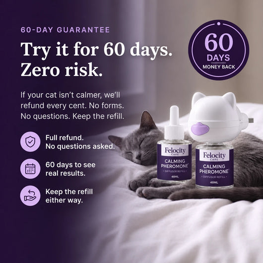 Felocity Cat Calming Diffuser (US Plug)