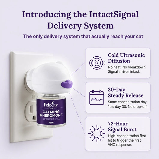 Felocity Cat Calming Diffuser (US Plug)