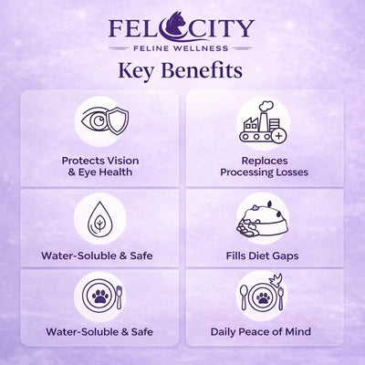 Felocity™ Daily Taurine Support