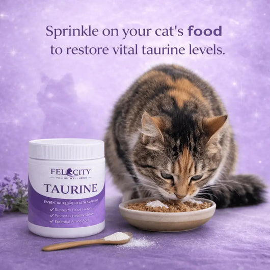 Felocity™ Daily Taurine Support